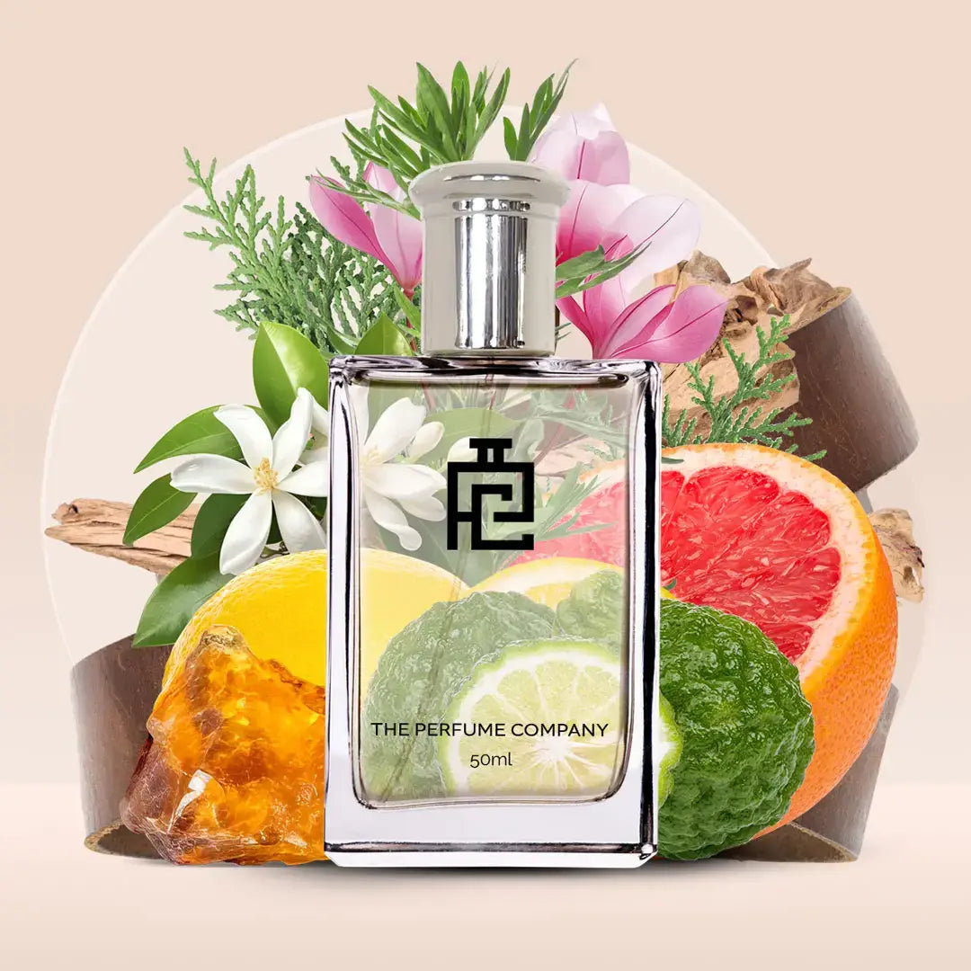 Q#01 (Inspired by Quorum by Antonio Puig)