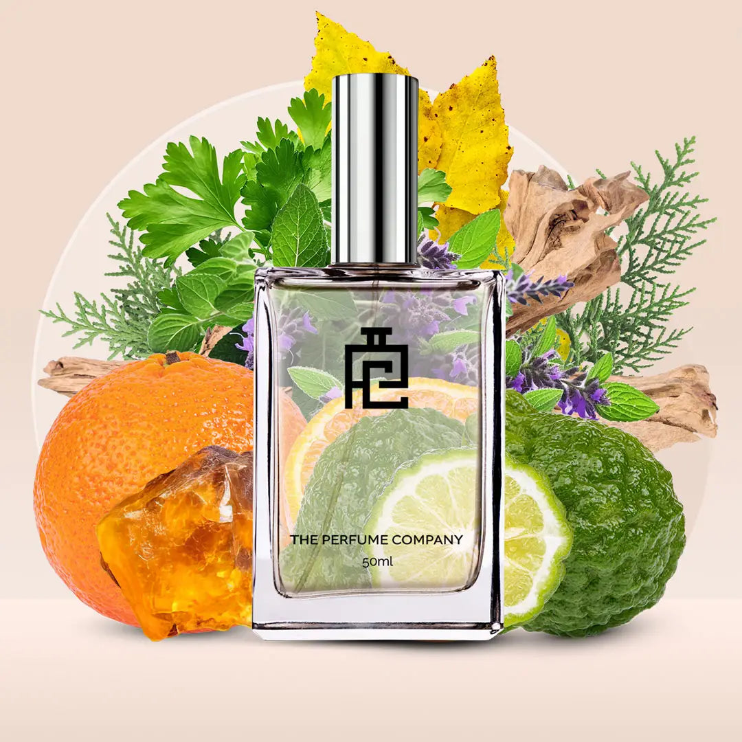 C#119 (Inspired by Cool Play By Lacoste)