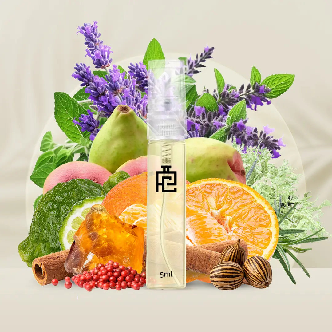 5ml Sample S#137 (Inspired by Solo by Loewe)