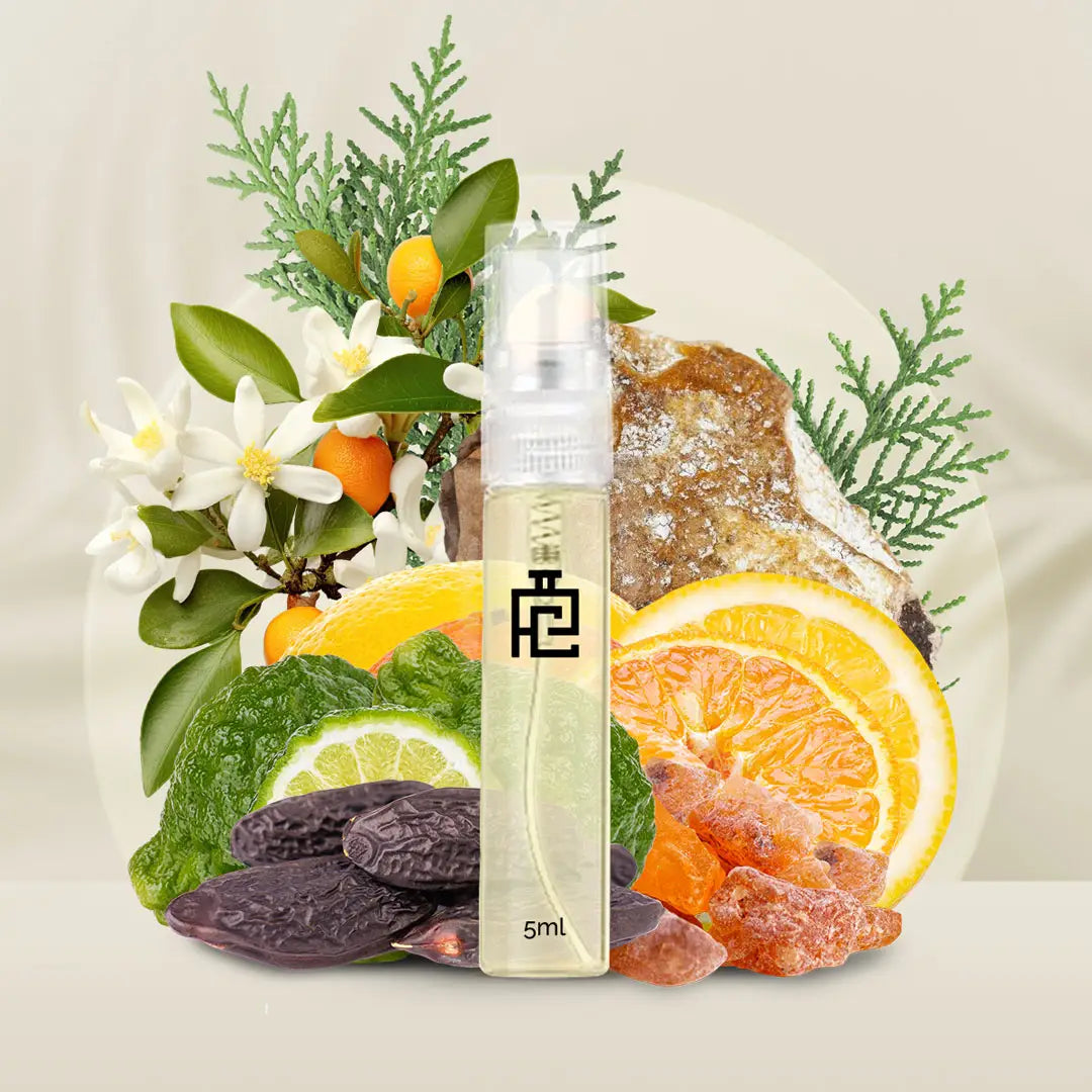 5ml Sample S#206 (Inspired by Sculpture by Nikos)