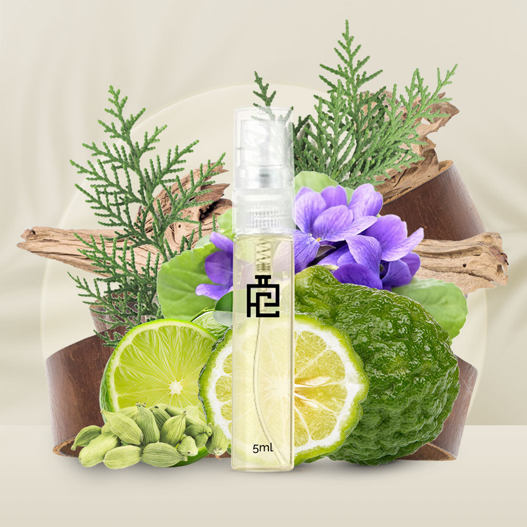 5ml Sample A#216 (Inspired by Aramis Life by Aramis)