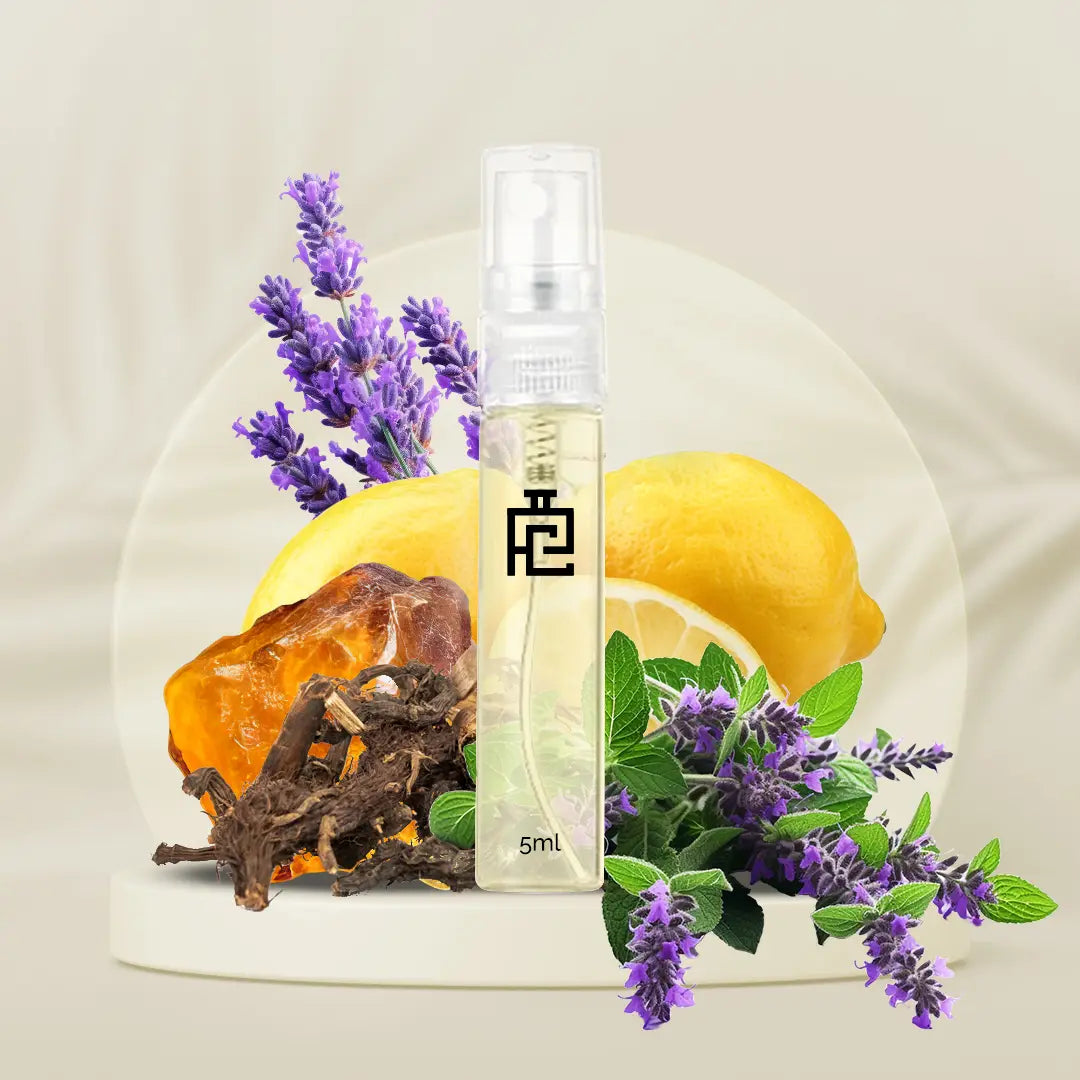 5ml Sample B#240 (Inspired by Black XS L'Exces by Paco Rabanne)