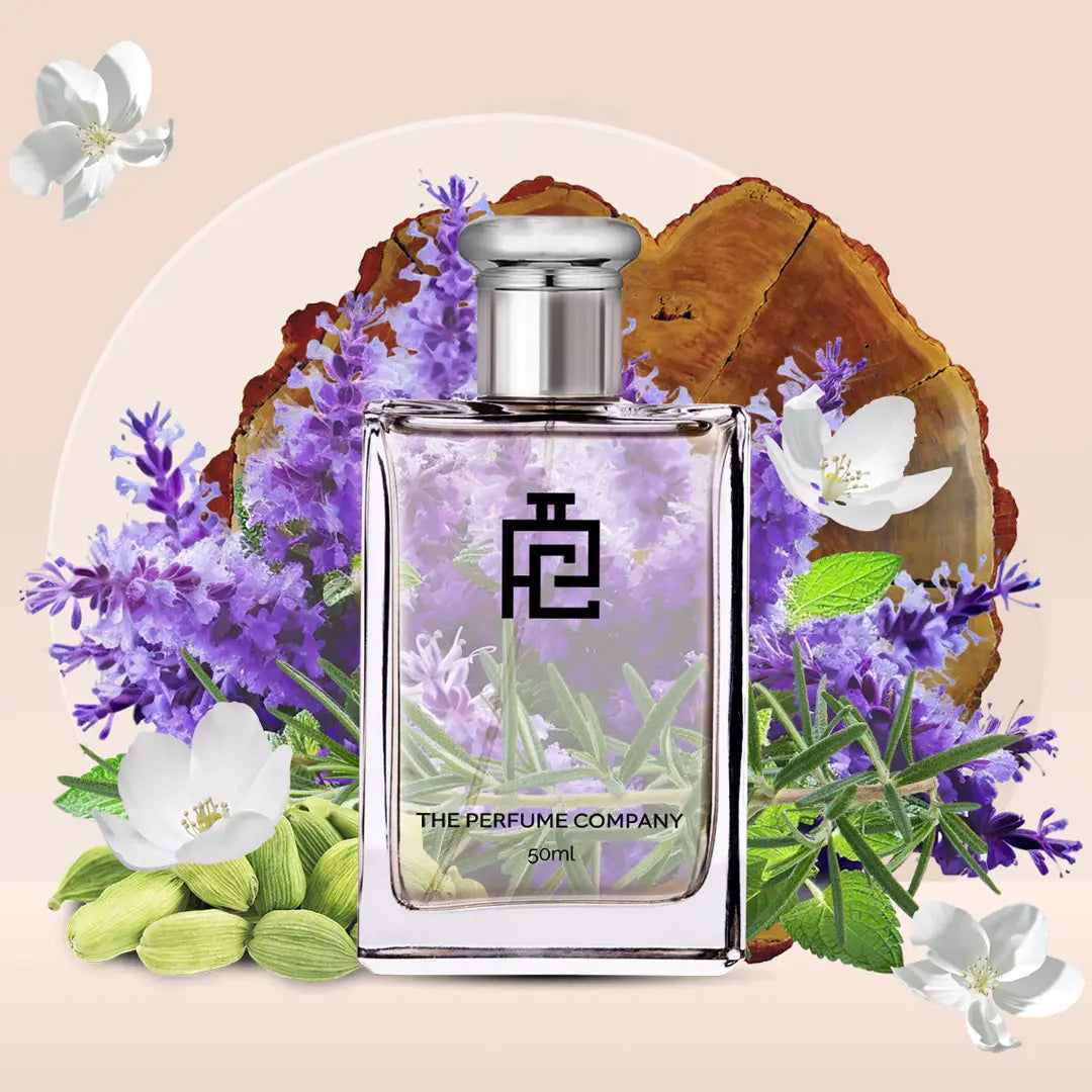 O#242 (Inspired by The One Sport)