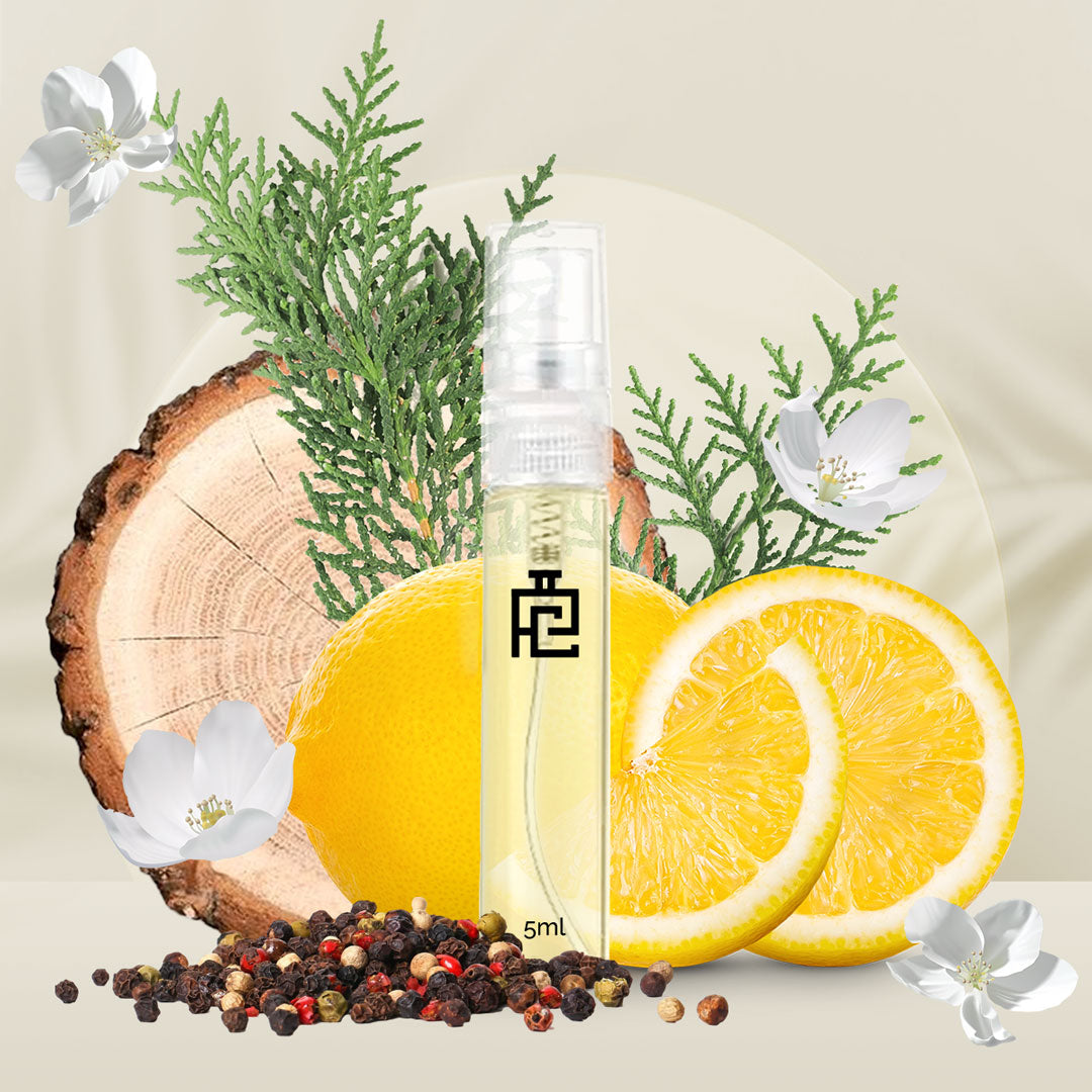 5ml Sample A#261 (Inspired by Antonio By Antonio Banderas)