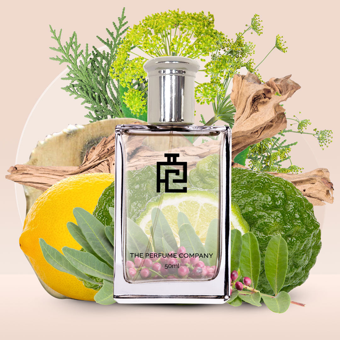 R#262 (Inspired by Royal Oud By Creed)