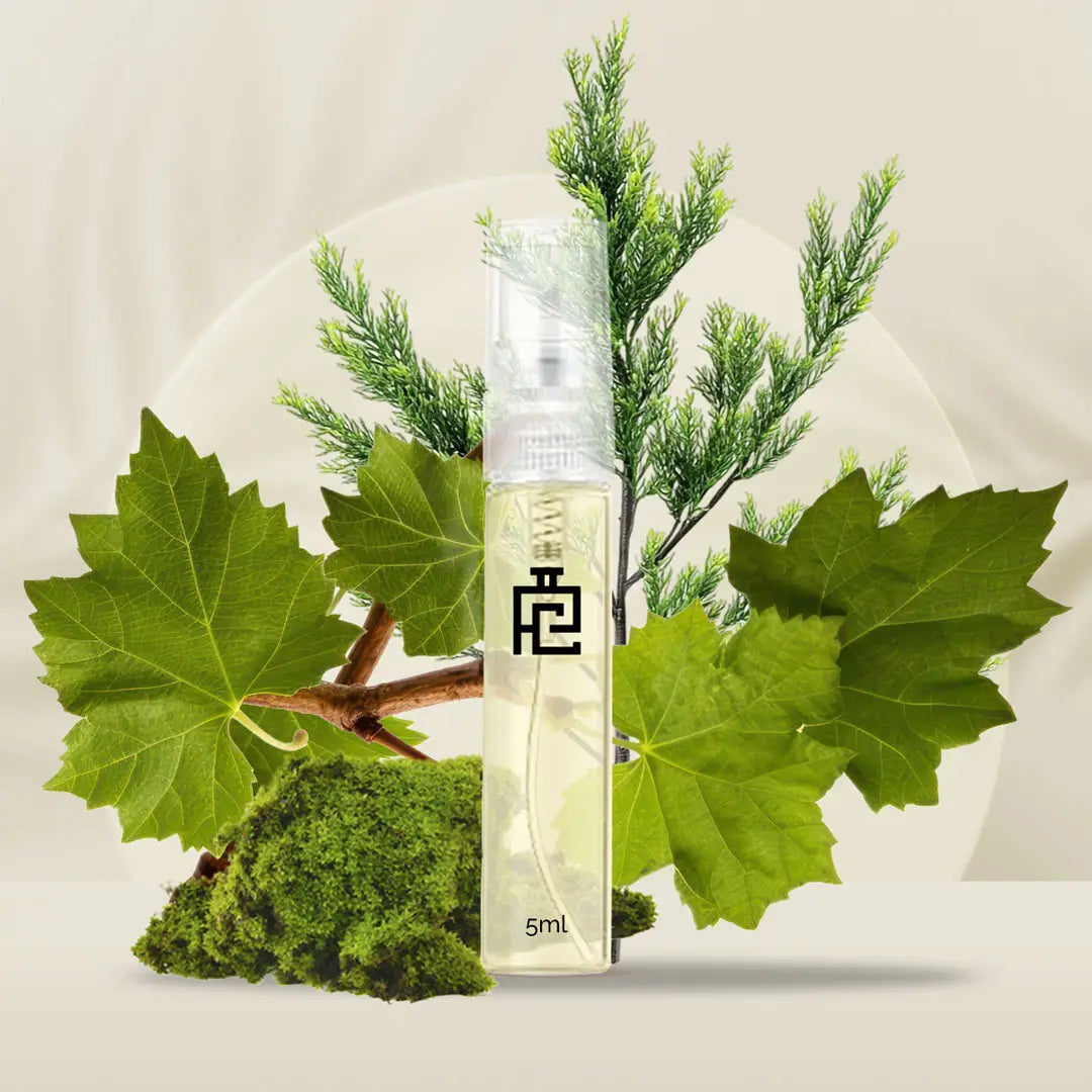 5ml Sample C#351 (Inspired by Cypress & Grapevine by Jo Malone)