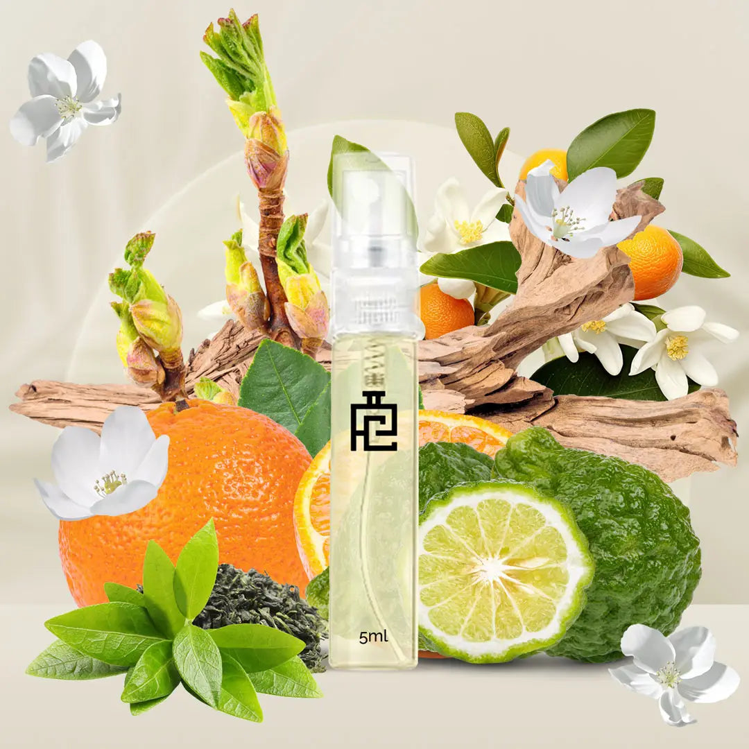 5ml Sample S#56 (Inspired by Silver Mountain Water by Creed)