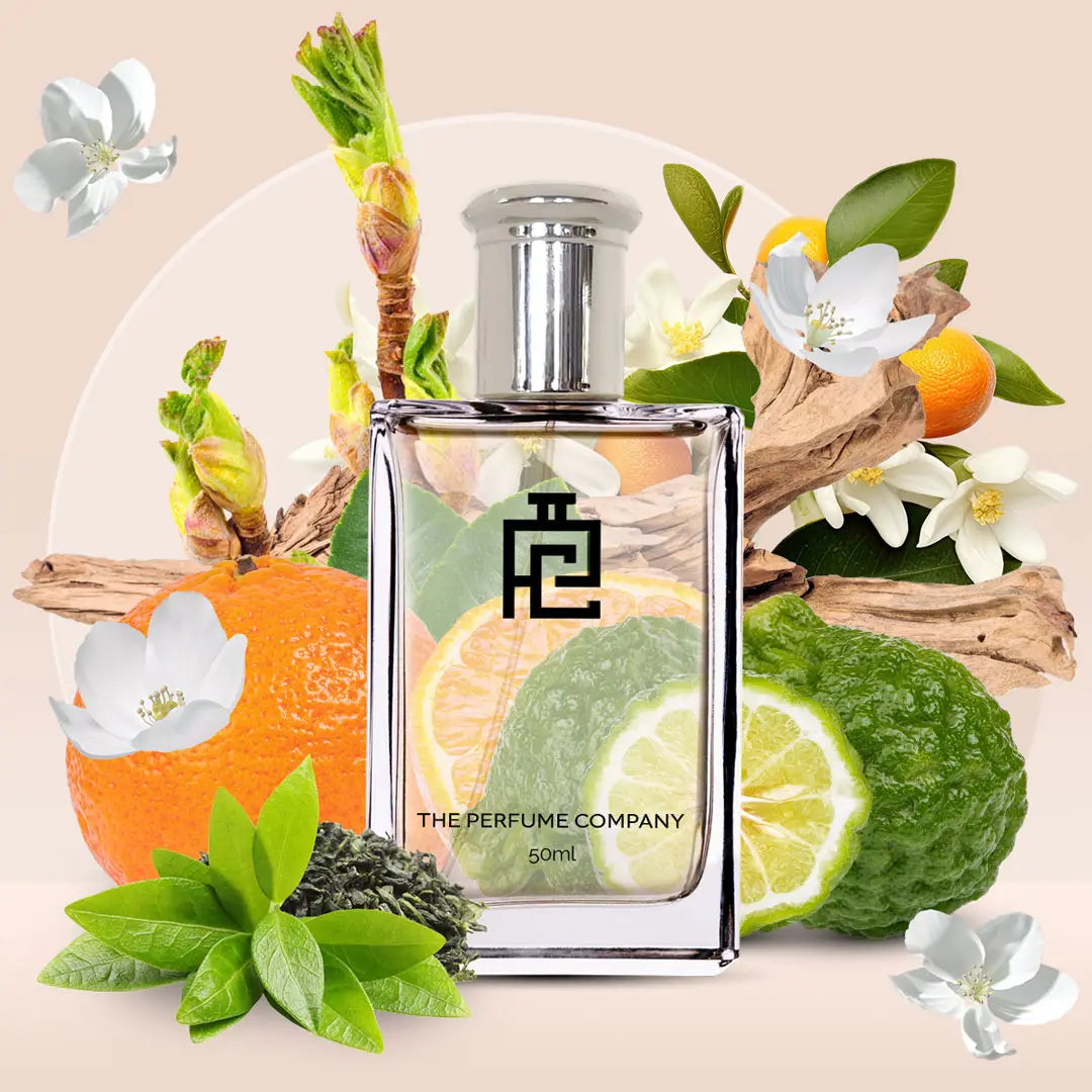 S#56 (Inspired by Silver Mountain Water by Creed)