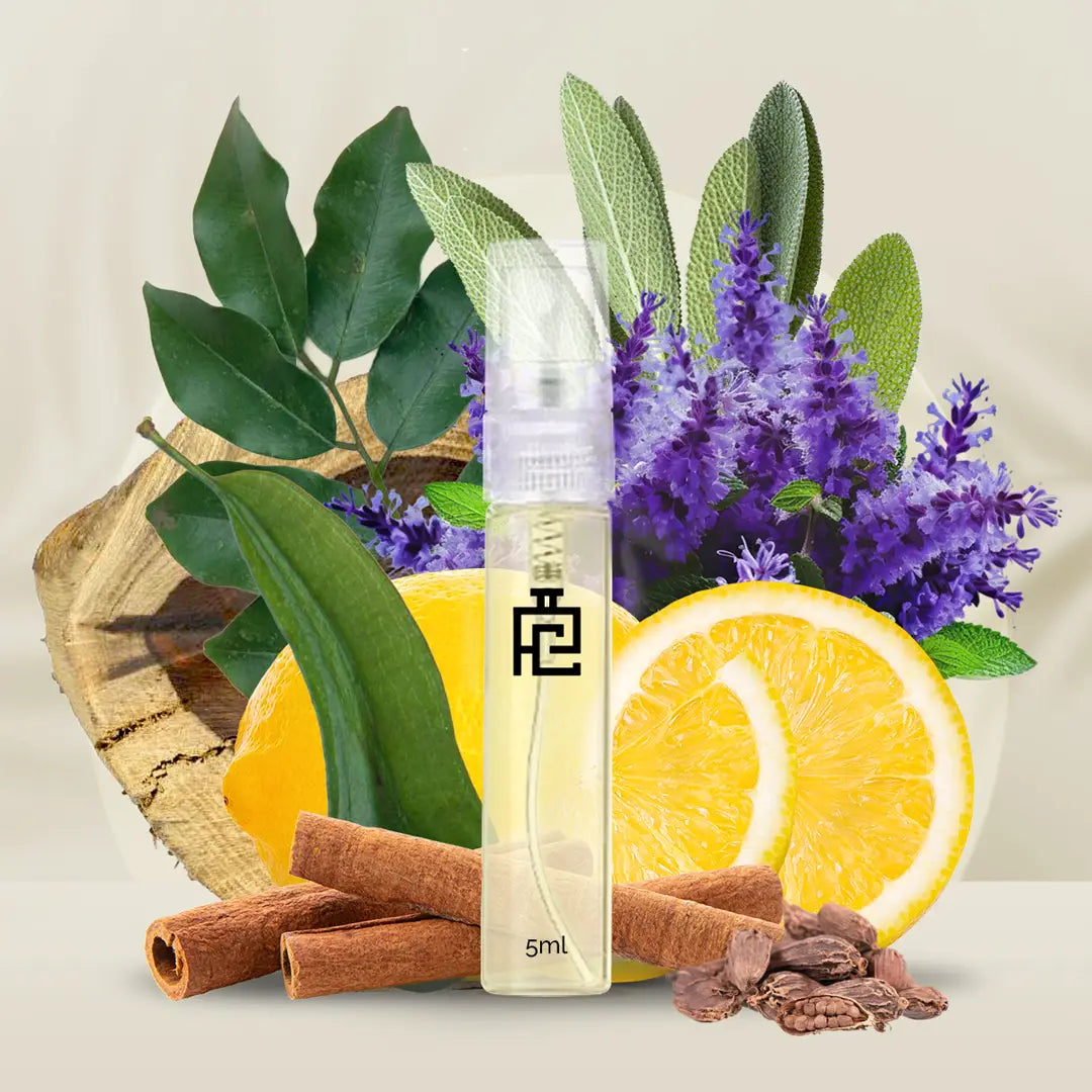 5ml Sample B#82 (Inspired by Black XS by Paco Rabanne)