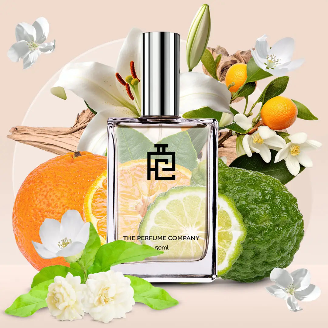 H#154 (Inspired by 2.1.2 By Caro-Lina Herrera)