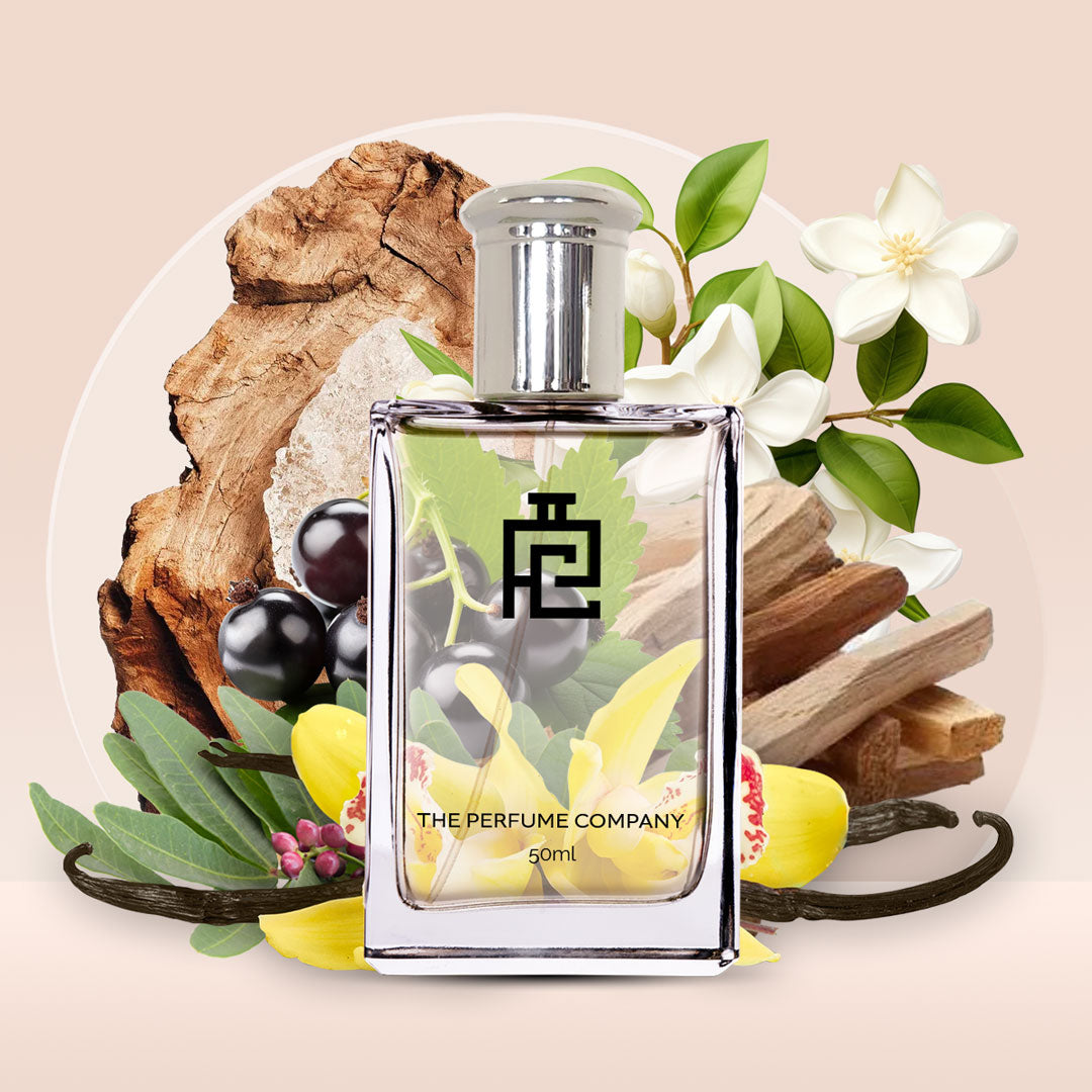 D#187 (Inspired by Donna Born In Roma By Valentino)