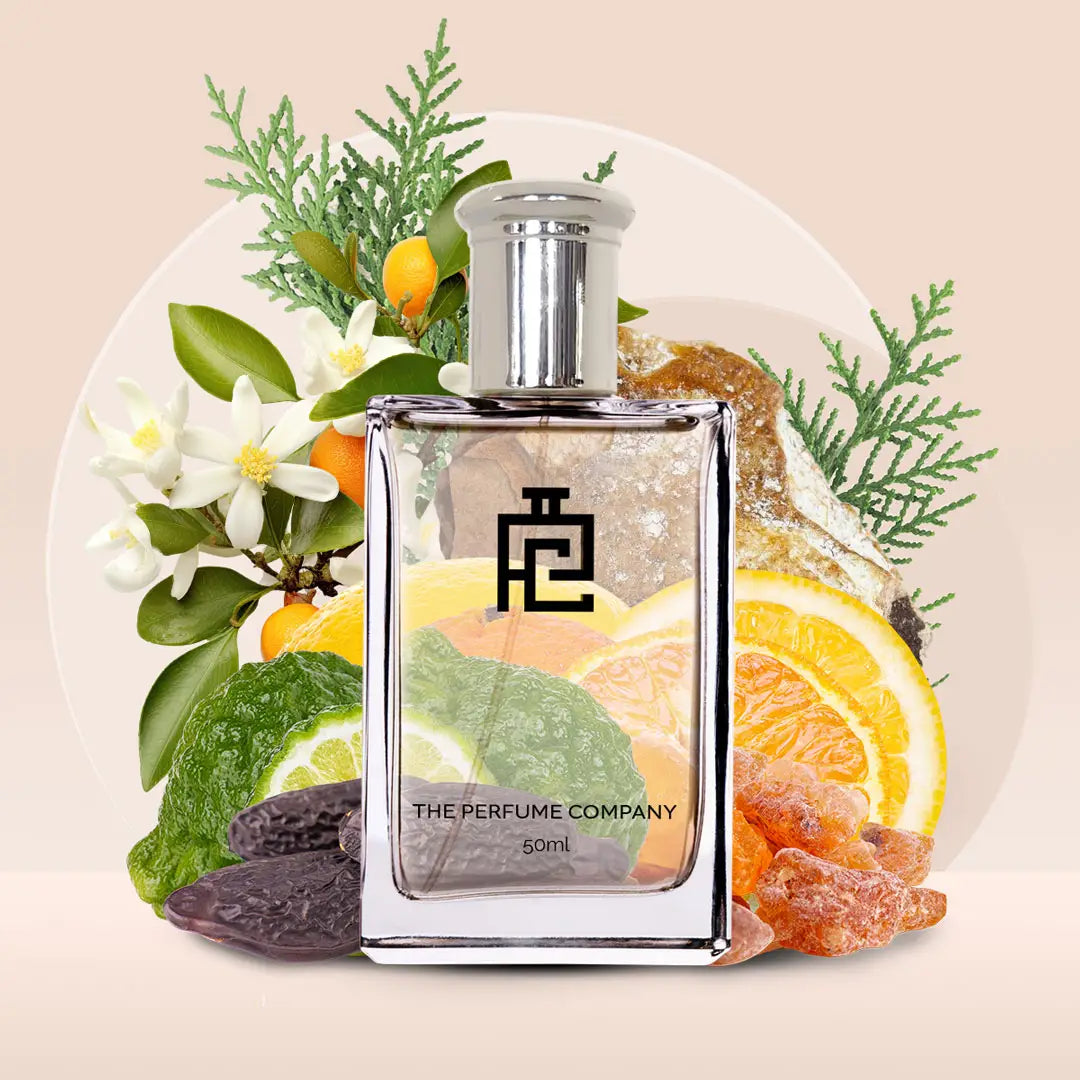 S#206 (Inspired by Sculpture by Nikos)