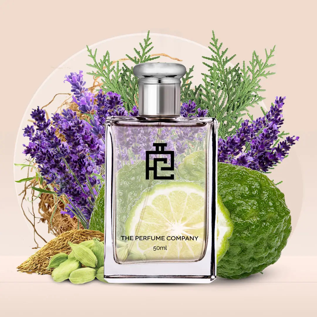 N#234 (Inspired by La Nuit De L`Homme by Yves Saint Laurent)