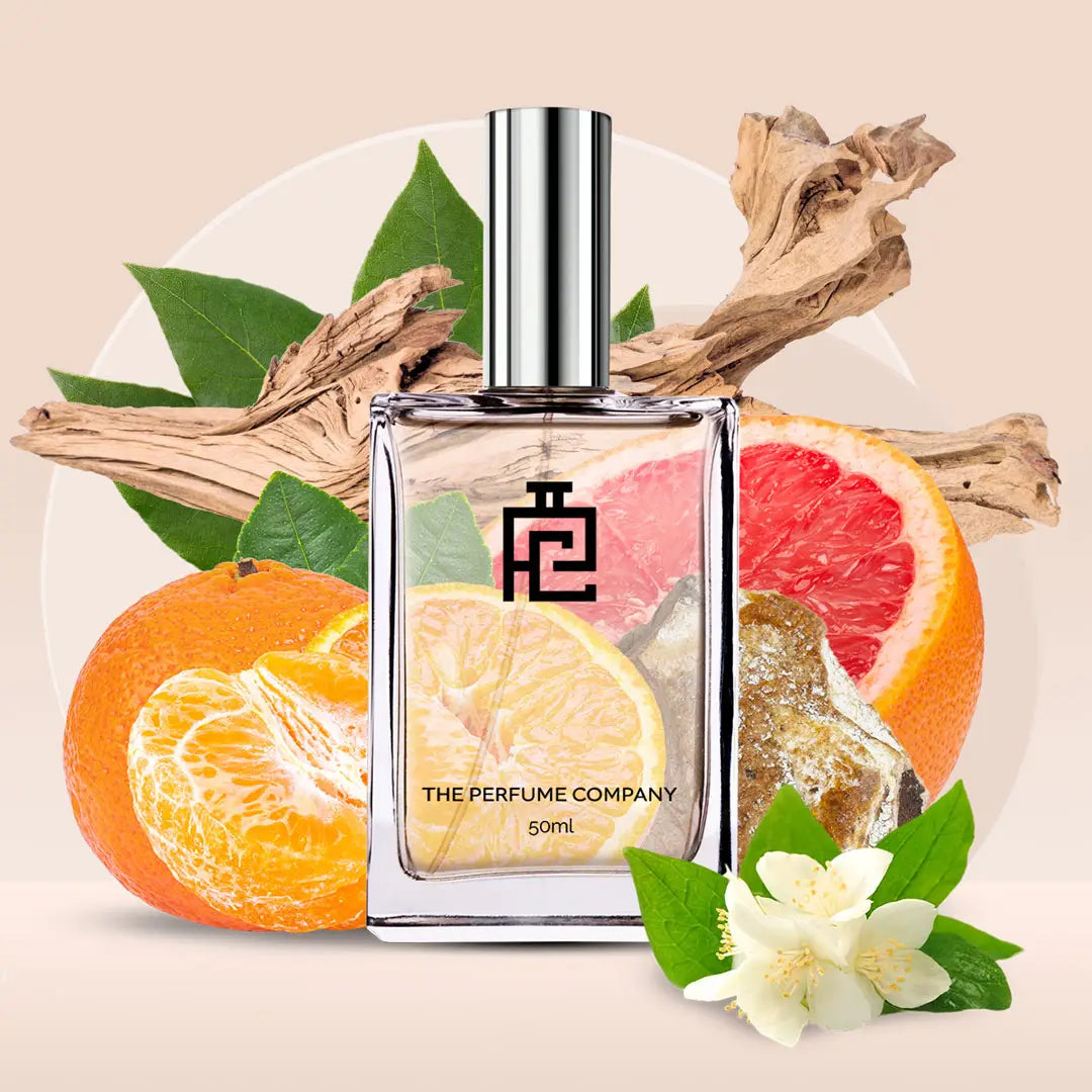 I#243 (Inspired by Invictus by Paco Rabanne)