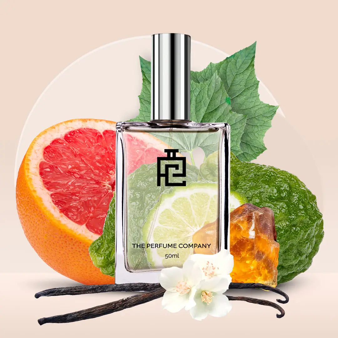 C#307 (Inspired by Cashmere Mist By Donna Karan)