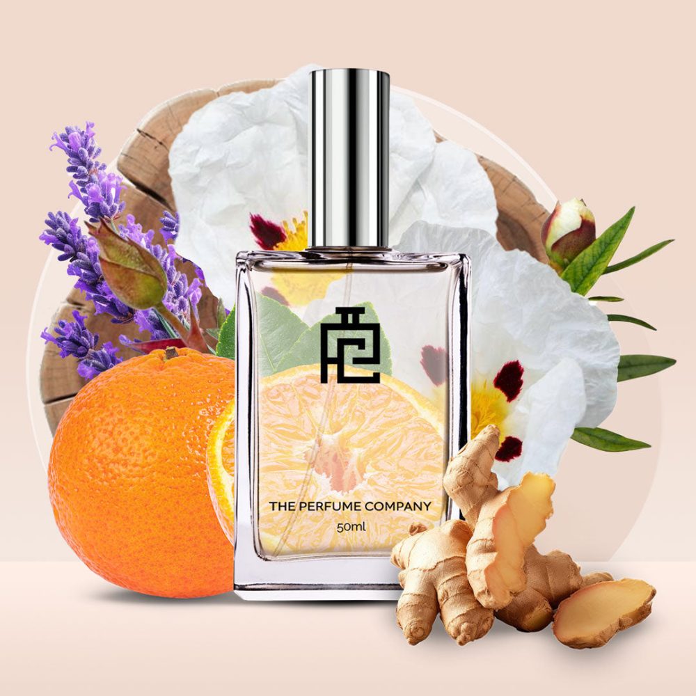 F#176 (Inspired by Fougere D'Argent by Tom Ford)